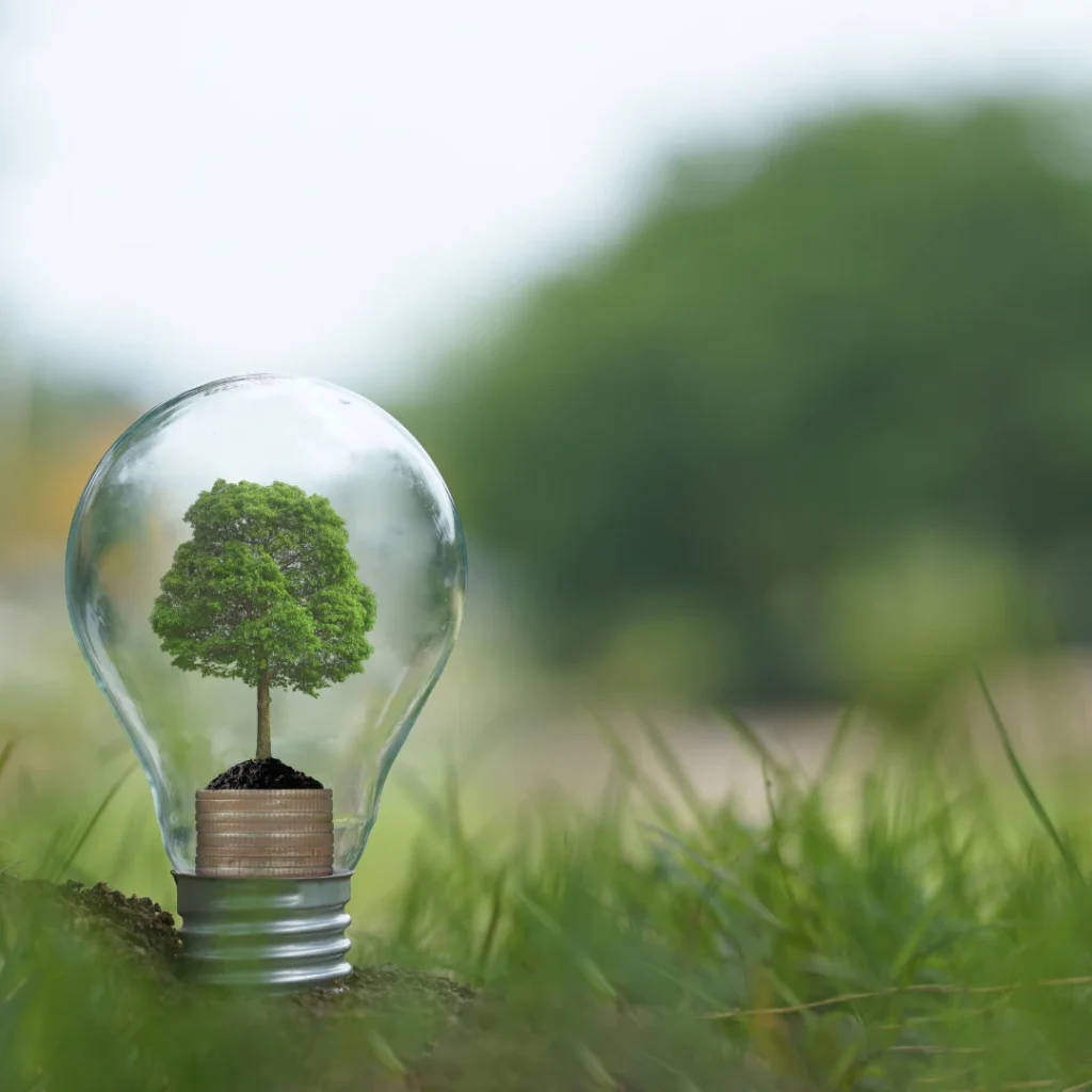 Tree growing inside a light bulb symbolizing green energy and environmental sustainability.